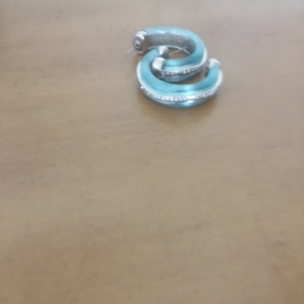 Brighton Earrings